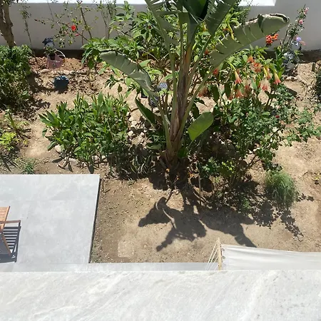 Hotel Two Palm Trees 1