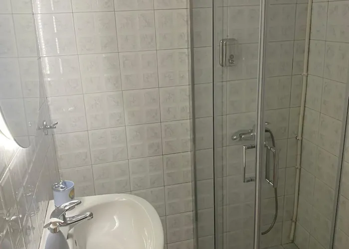 Two Palm Trees 1 阿达玛斯